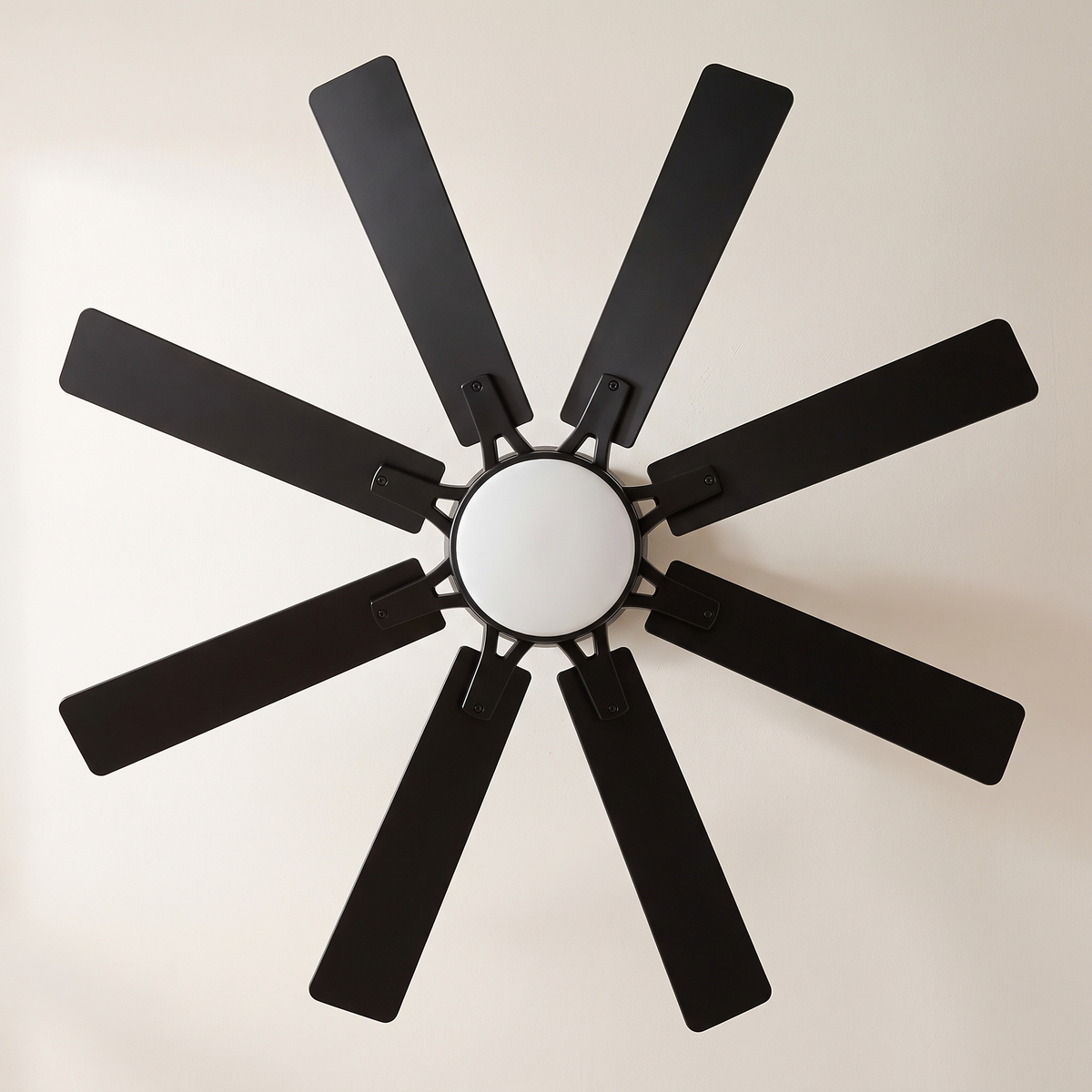Ariane fan — eight-blade array from below