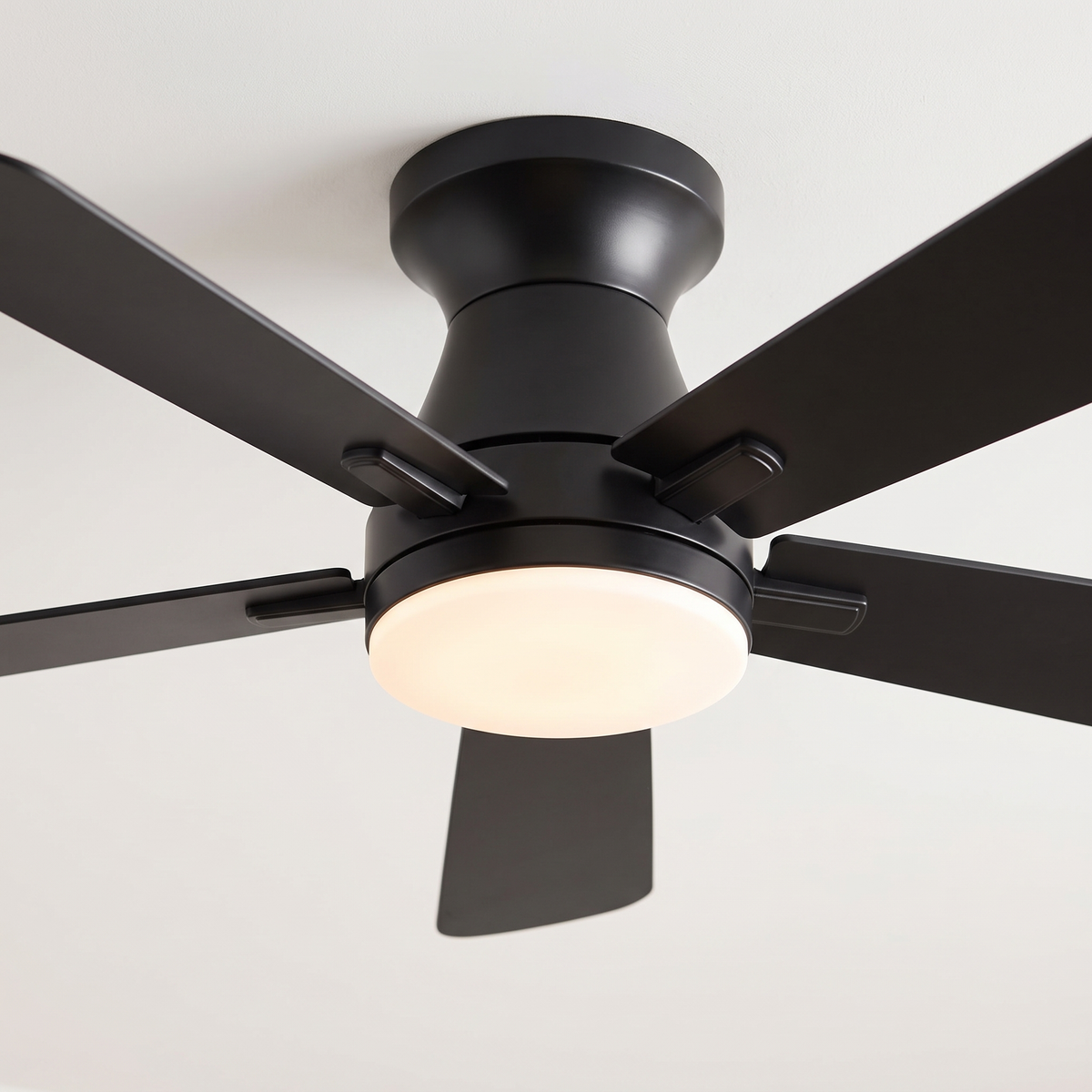 Biarritz fan — hub detail